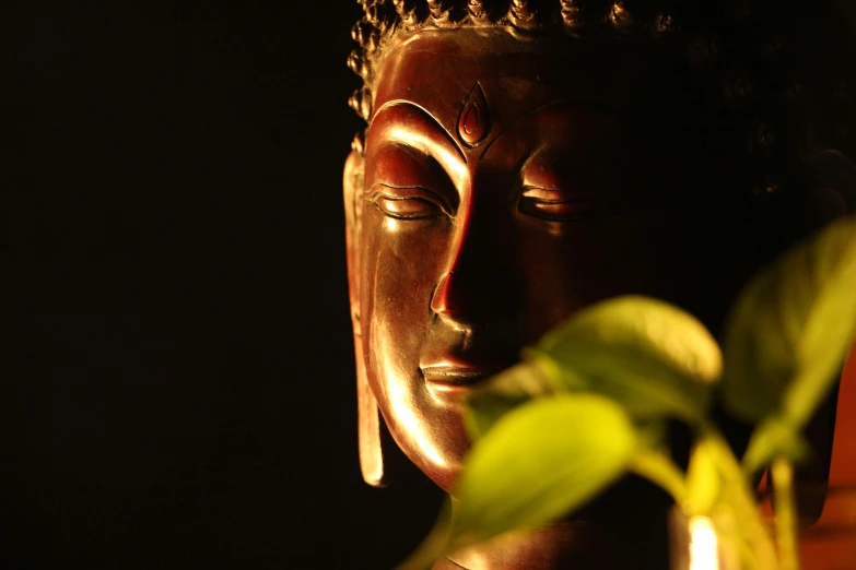 a small plant in a small vase next to a big buddha statue