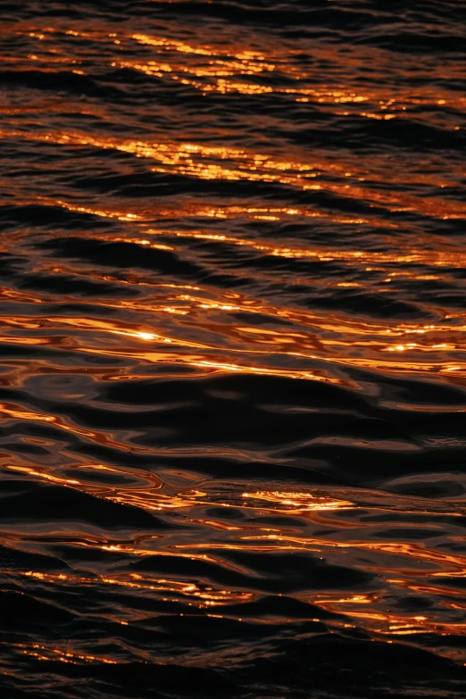 a body of water covered in orange and yellow