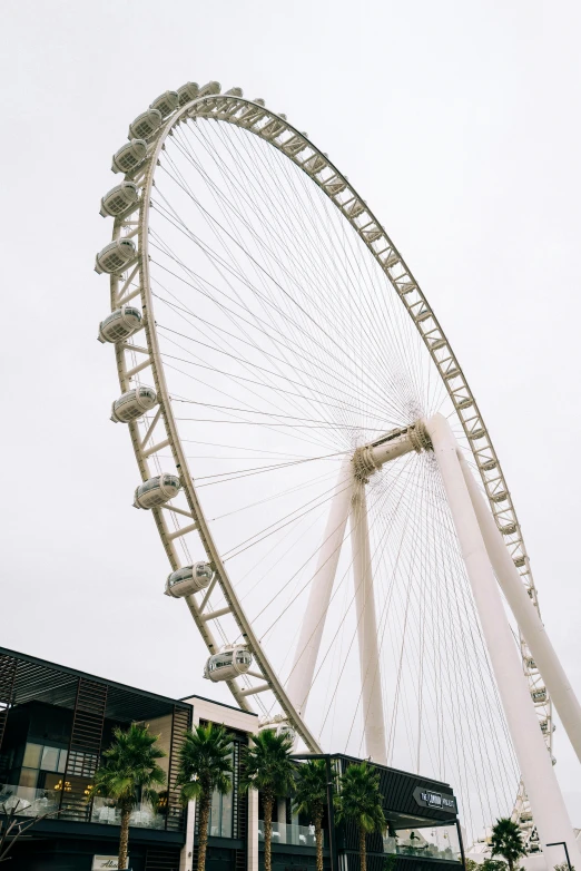 a large ferris wheel against a cloudy gray sky