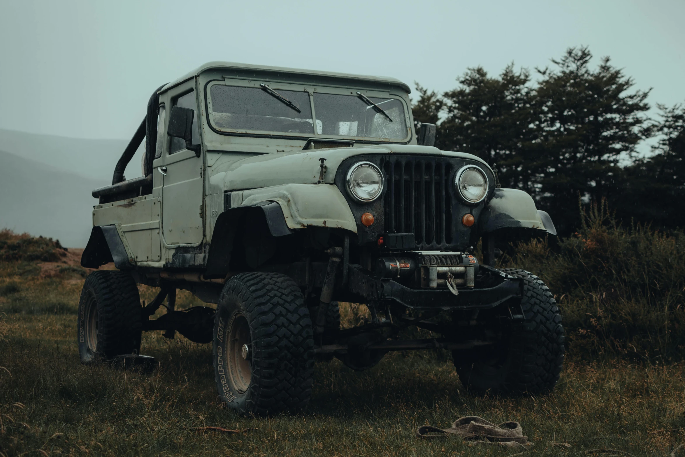 old jeep in grassy field on cloudy day