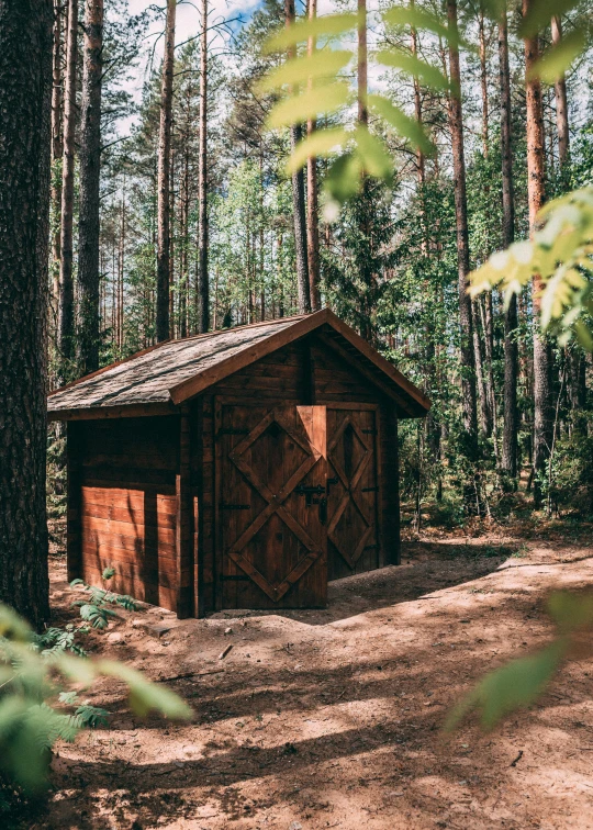 a small shed in a park surrounded by trees