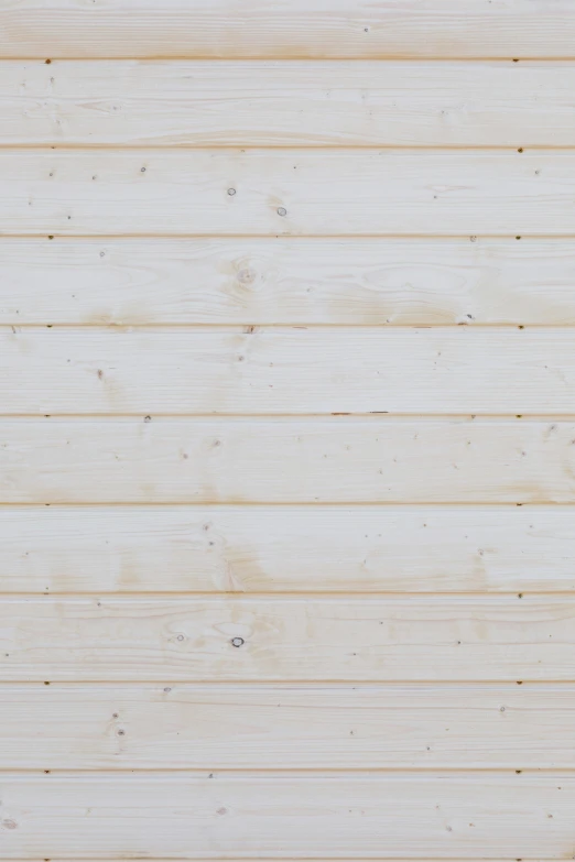 a black cat standing in front of wood paneling