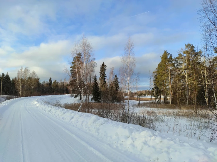 snow covered path leading through snowy area with trees in the background