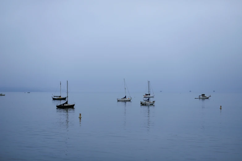 a number of boats in a large body of water