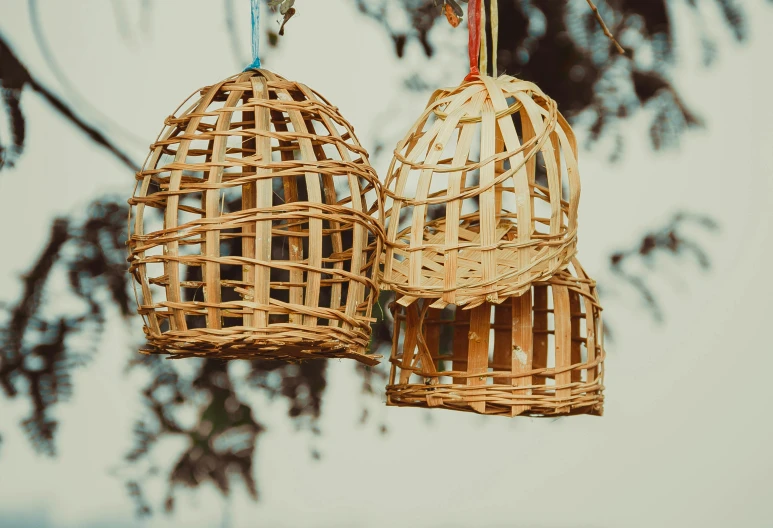 two birds cages hanging from wires attached to trees