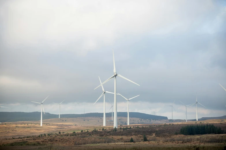 several wind mills with grass in the foreground