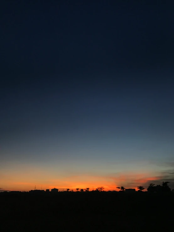 silhouettes of two birds flying in the sky at sunset