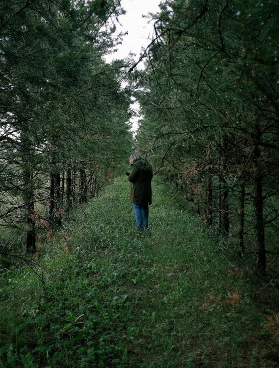 a man is walking in the woods alone