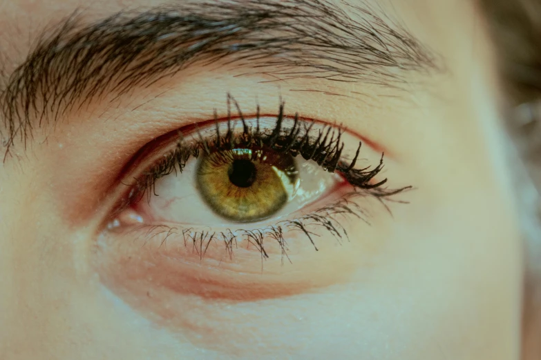 a close up image of a person's green eye