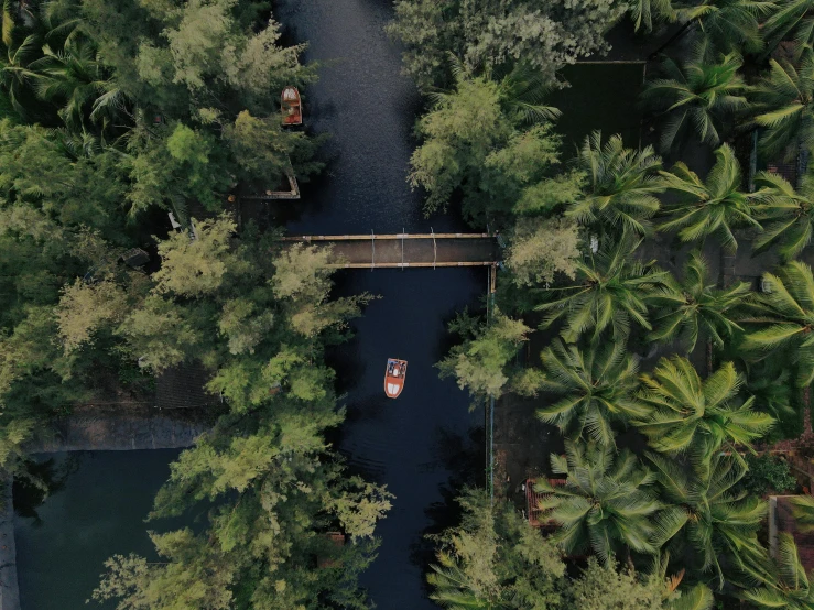 an aerial po of a boat floating along a stream in the middle of some trees