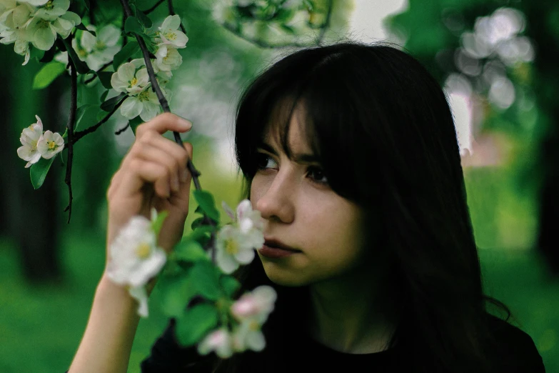 a woman looking up at the blossoms of an apple tree