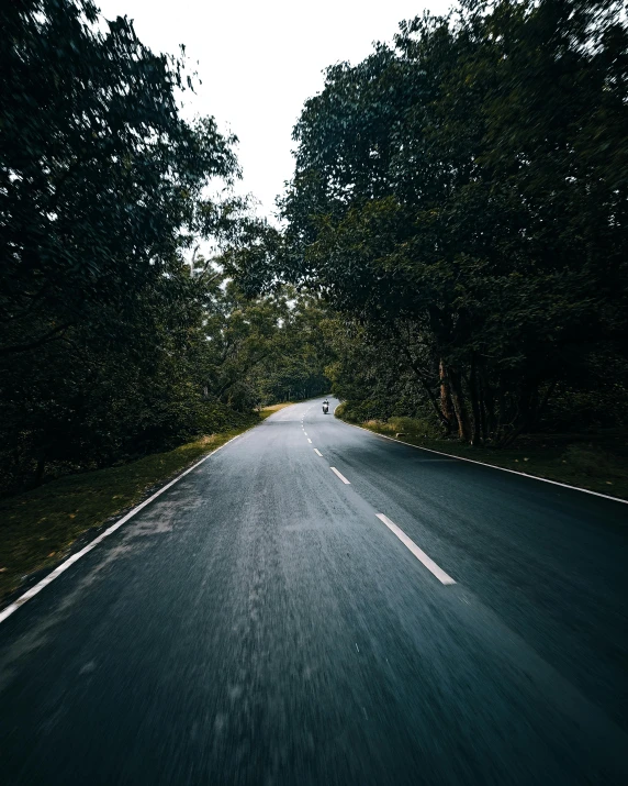 an image of a tree lined road in the dark