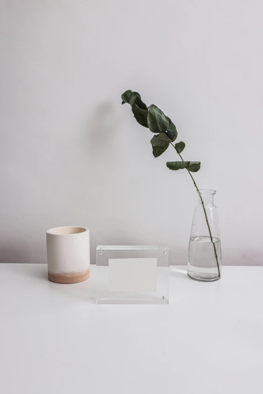 two vases, one with one long leaf, each placed on table