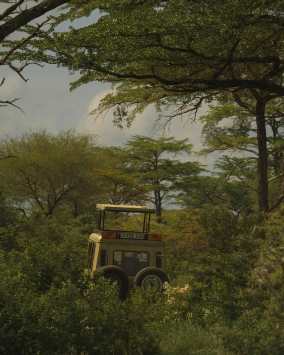 the tractor is moving through the woods on its own