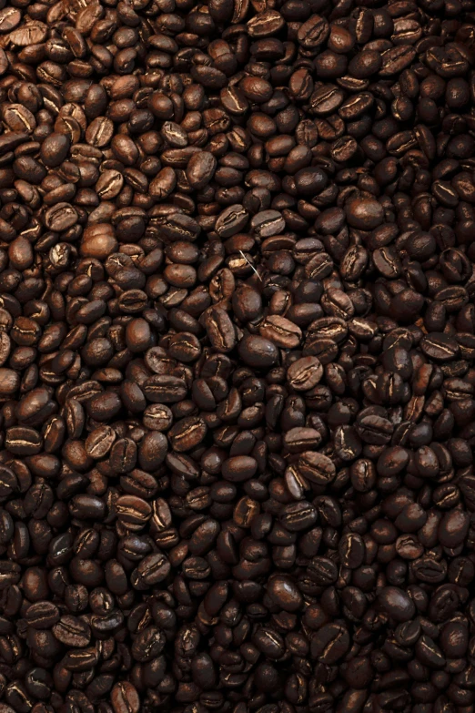 a close - up po of coffee beans and their dark brown colors