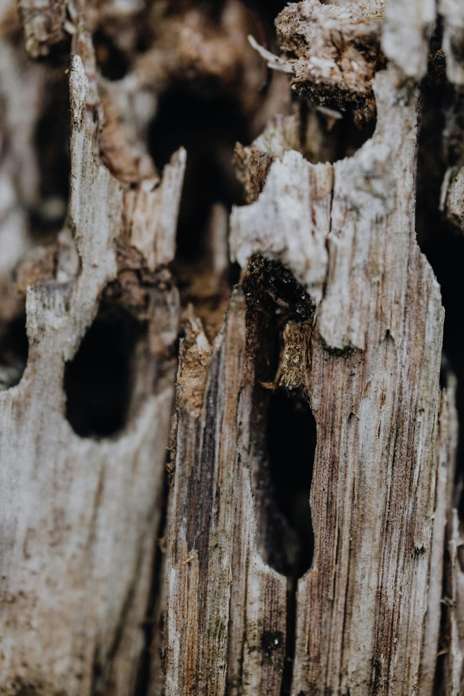 close up po of an old, wooden wall