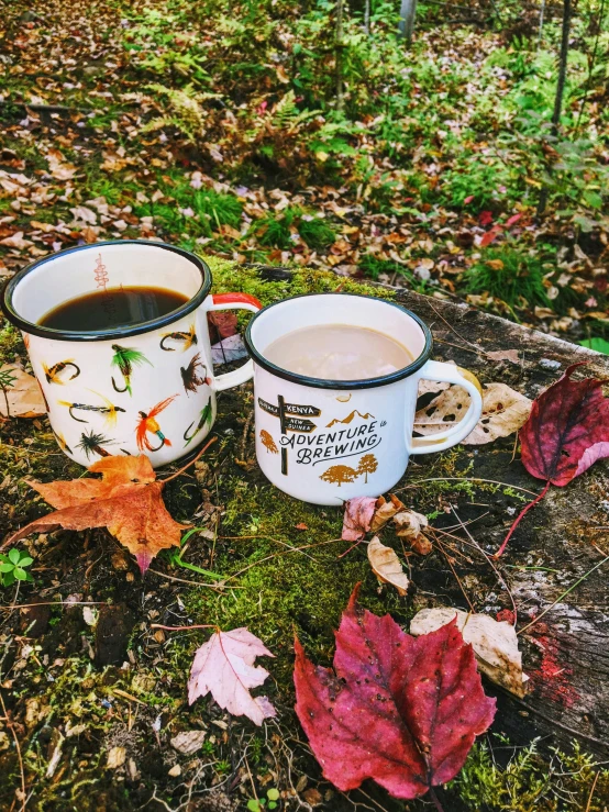 two coffee cups sitting on top of some leaves