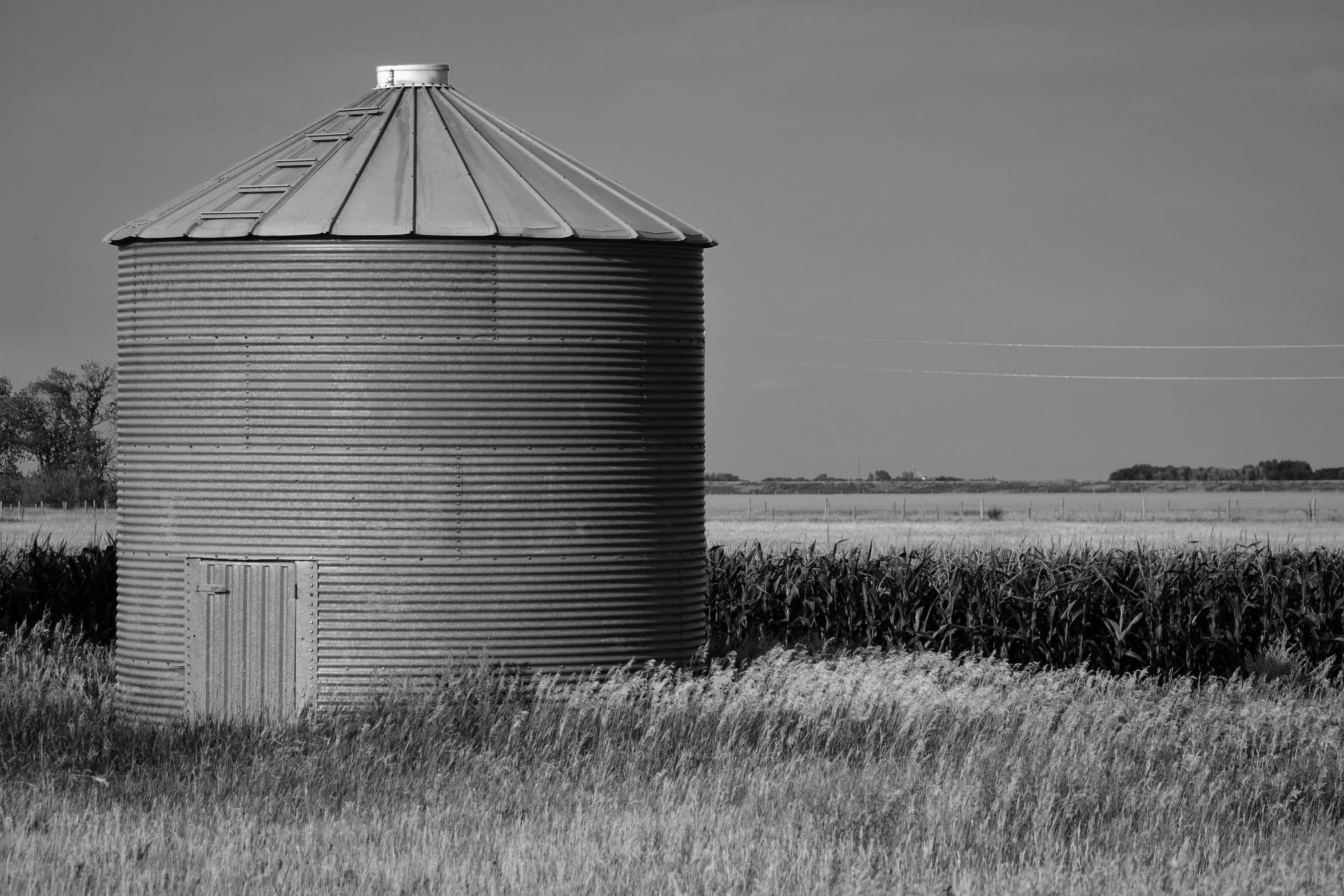 a silo in the middle of a field surrounded by corn stalks