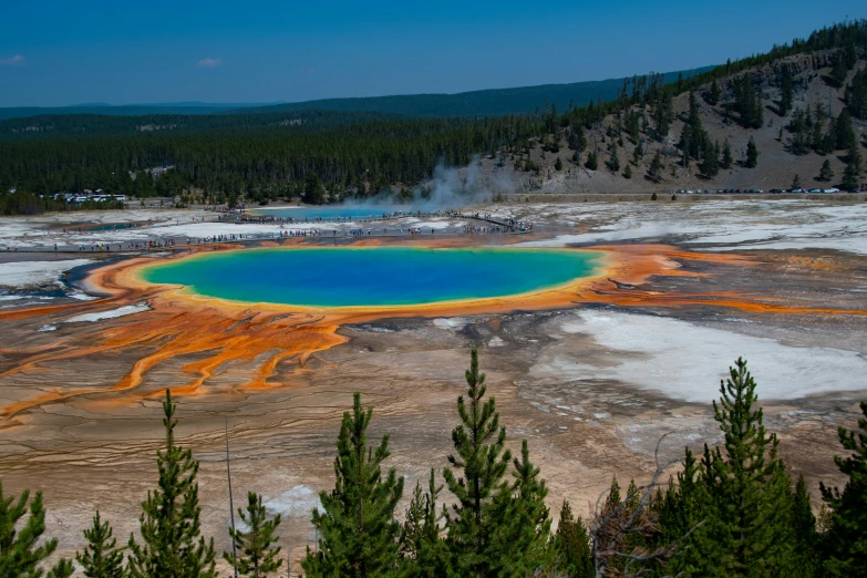 an orange and blue pot hole surrounded by trees