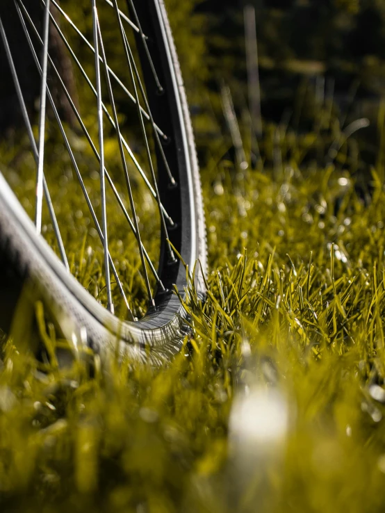 a close up of the wheels of a bike tire in some grass