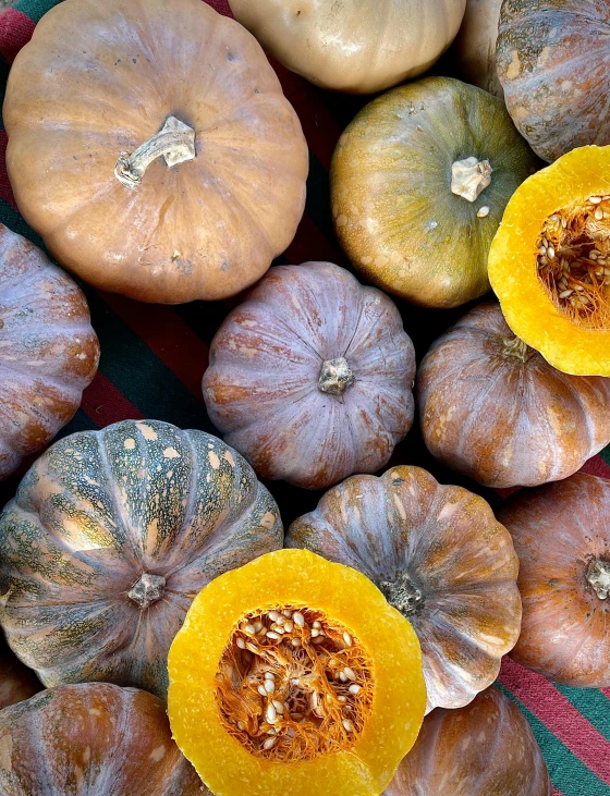 close up of several varieties of small pumpkins