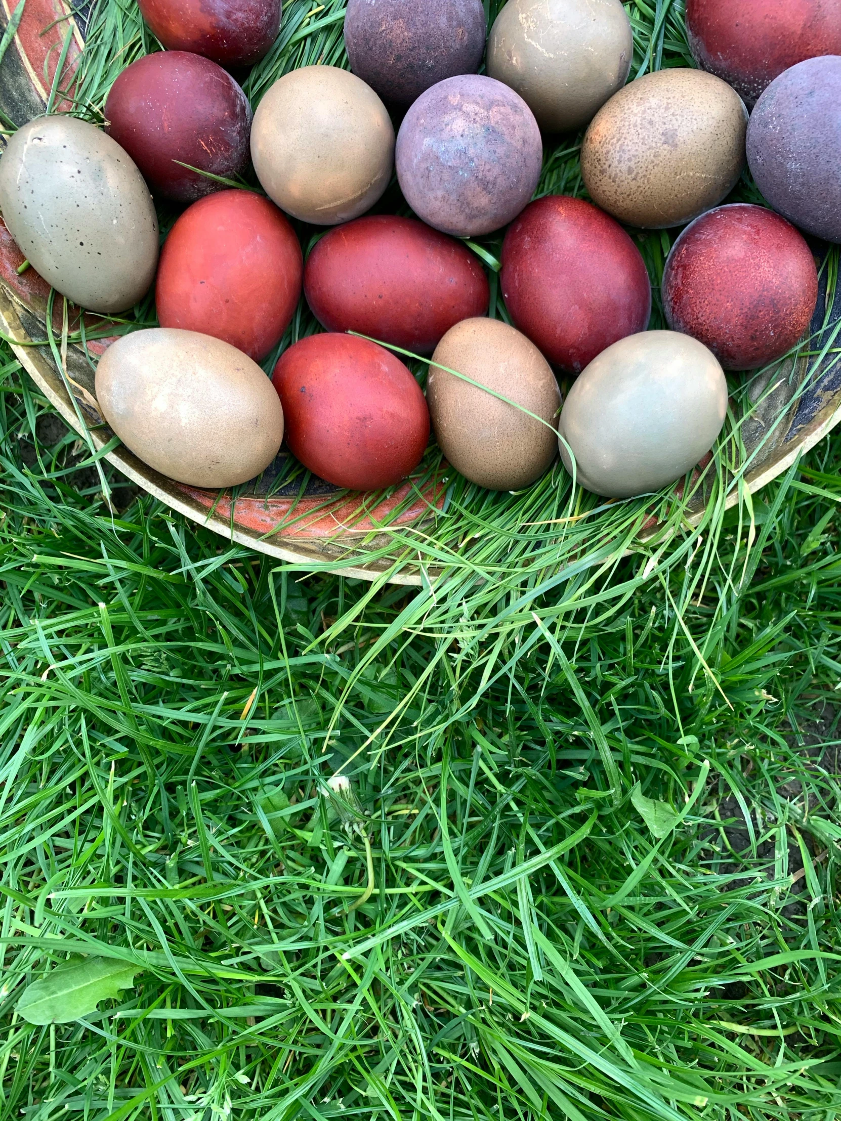 a basket filled with different colored eggs laying in some grass