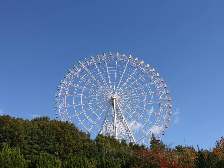 a large ferris wheel sitting above some trees