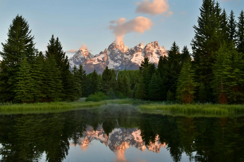 trees and mountains near the shore of a mountain lake