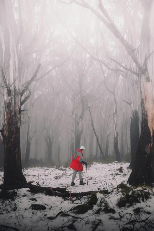 a man with skis walking through the woods in snow