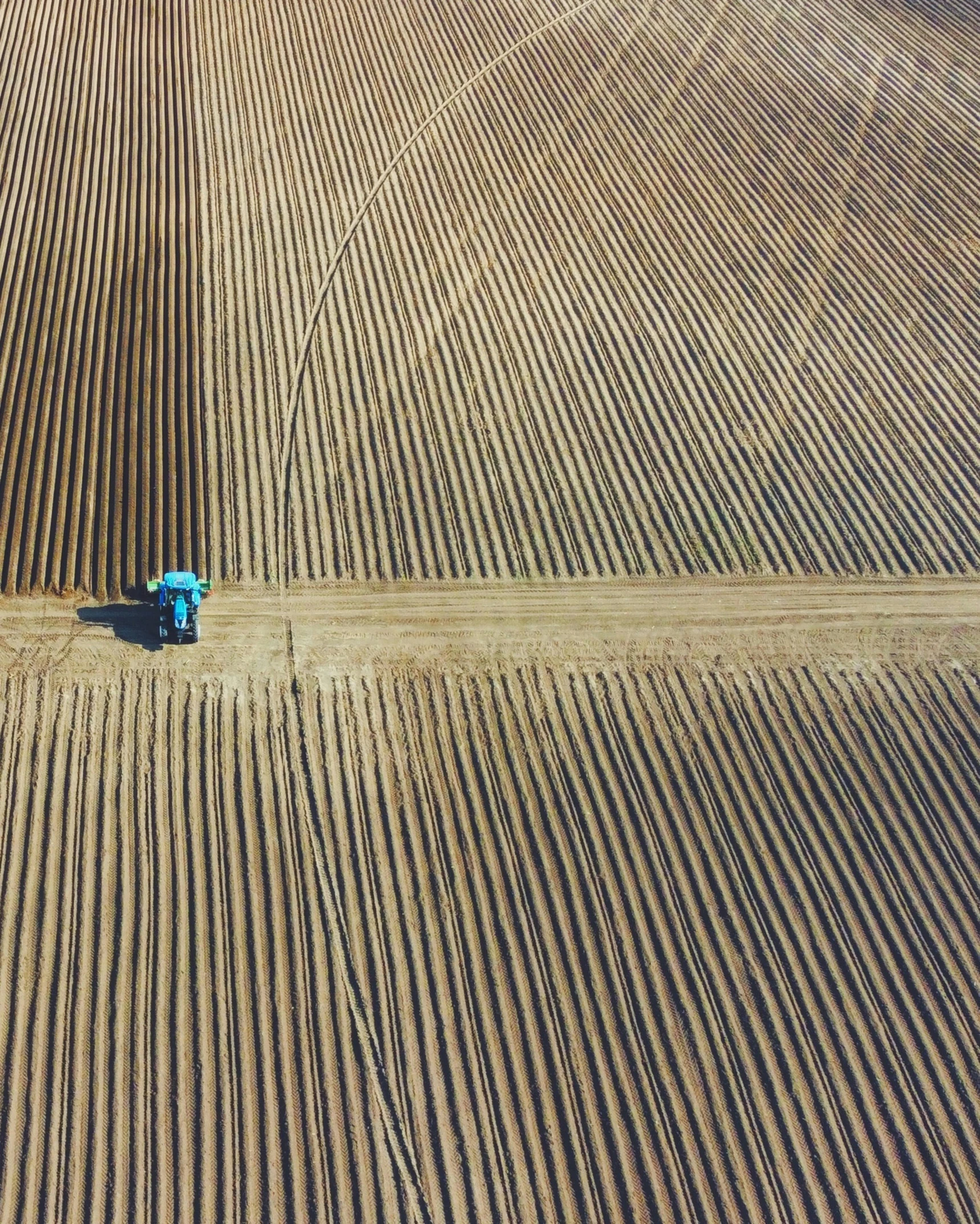 a tractor harrowing a field of wheat in an aerial view