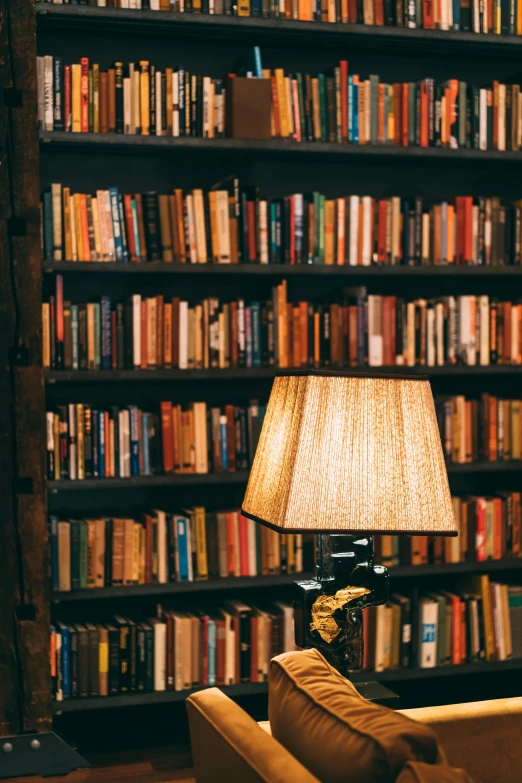 a room with a full book shelf, and lamp sitting in the middle