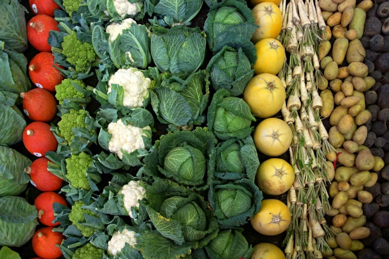 several types of produce in a display at the store