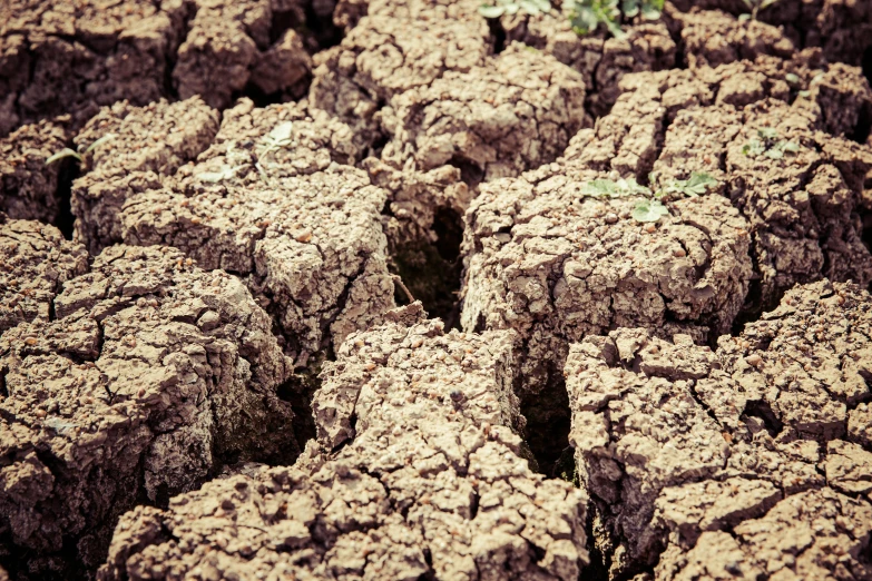 a large number of dirt blocks with grass in the background