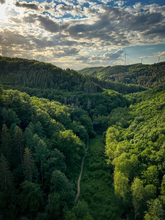 the view down an undistly wooded mountain valley