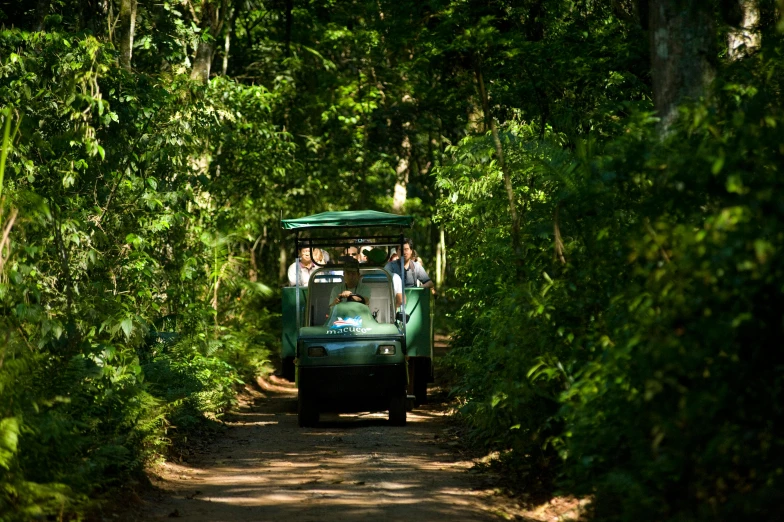 a group of people riding in the back of a vehicle through the trees