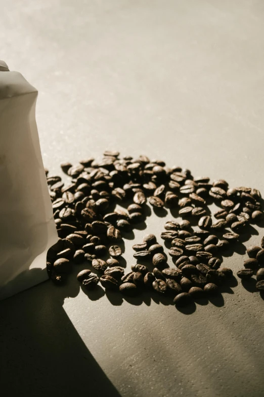 a sack of coffee beans are in the shape of a flower