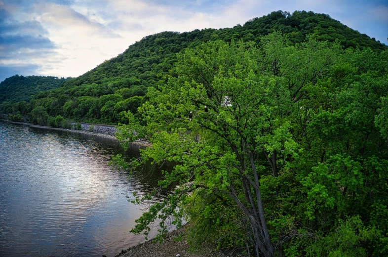 there is a body of water near some trees