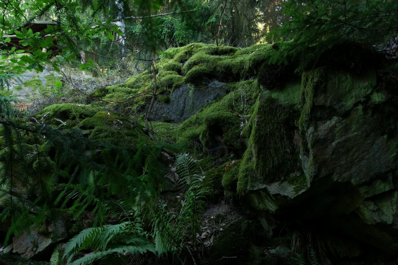 a large rock wall covered in green plants