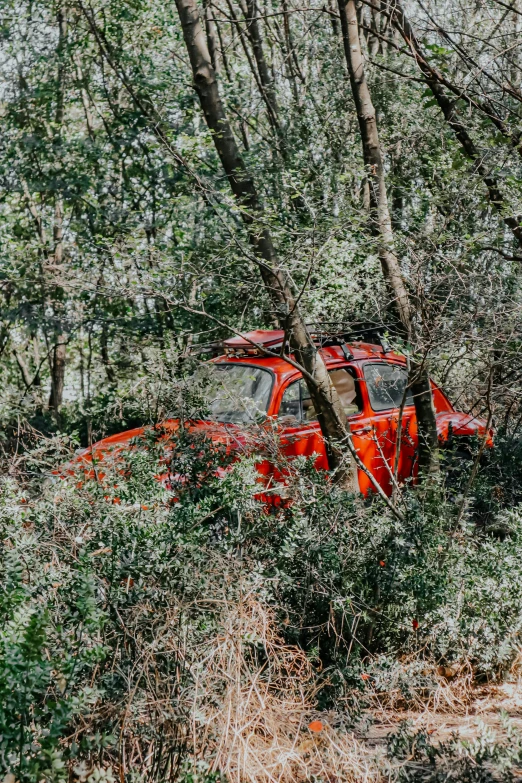 a rusted car is out in the woods