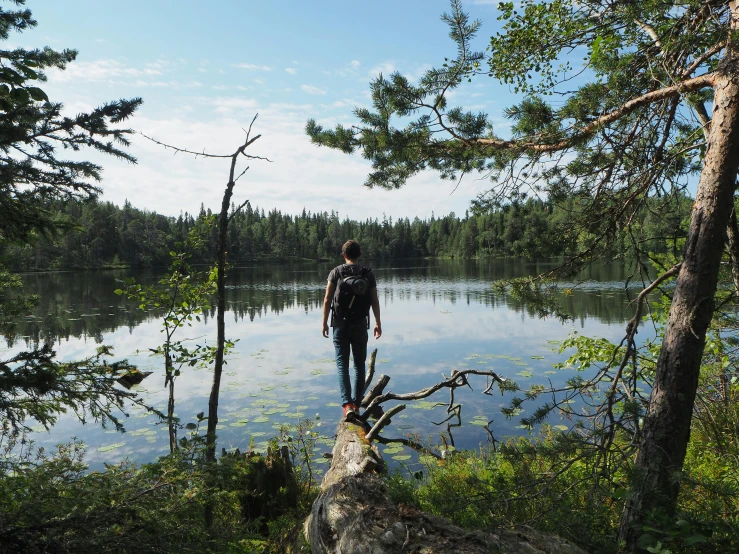 a man walks across a log in front of a lake