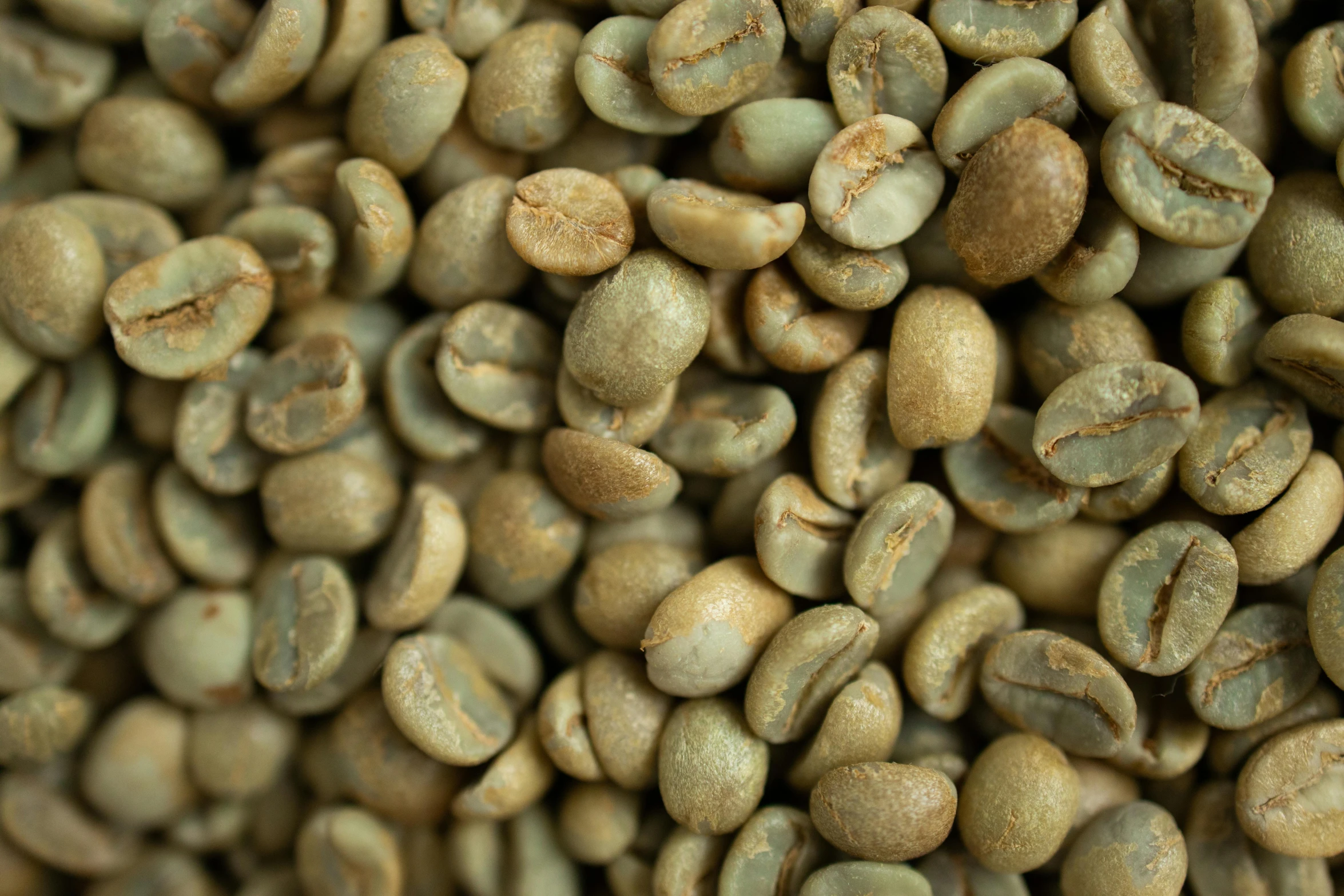 an overhead po shows a very large amount of coffee beans