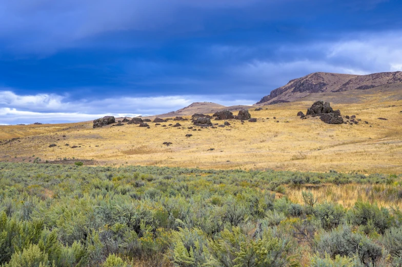 a grassy field with dirt and rock formations