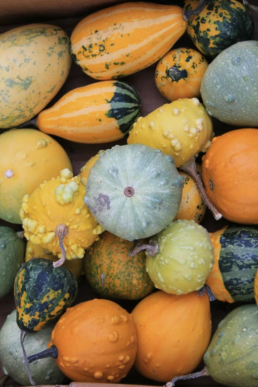 a box filled with gourds and oranges next to each other