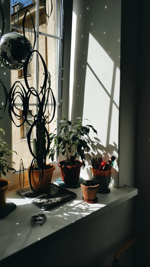 a shelf with potted plants on it and a window sill