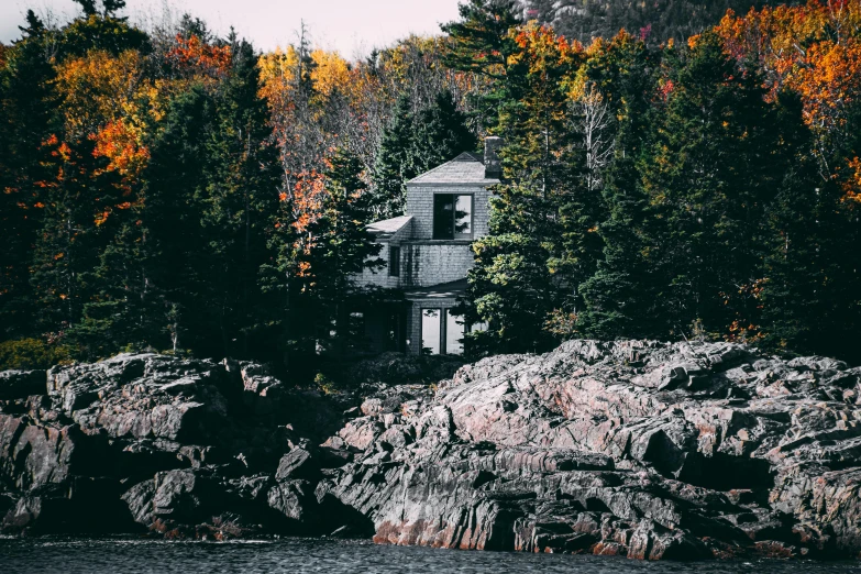 house with tree line in the background surrounded by rocks