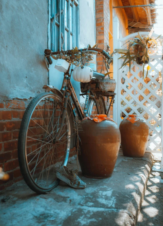 an orange bicycle in front of a white building with pots of pumpkins