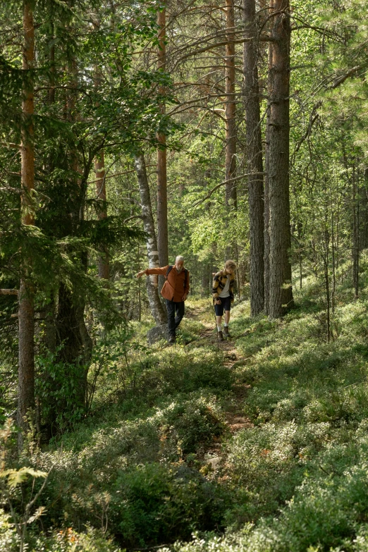 two people walking through the woods by a lake