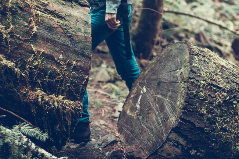 a person standing near a large tree in the woods