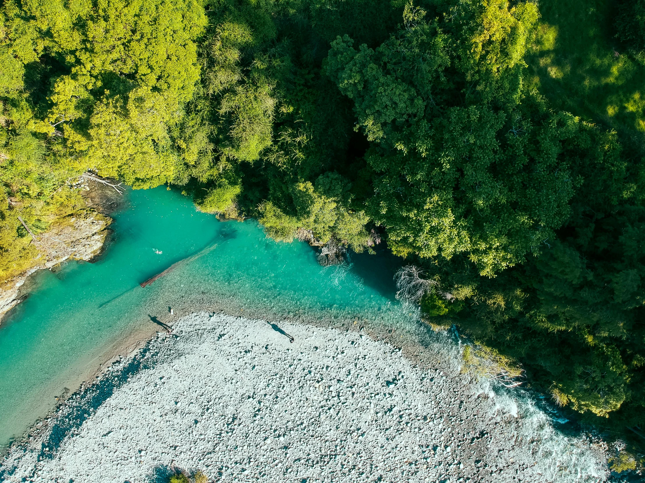 an aerial view of a stream in the middle of a forest