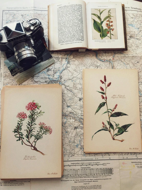 four pages of old book about plants and the pographer